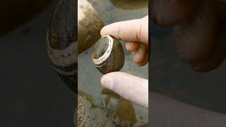 Jaspis Stone Unlocking its Secrets amp Spiritual Significance shorts viralshorts shortvideo [upl. by Ilsa]