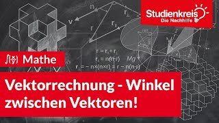 Vektorrechnung  Winkel zwischen Vektoren  Mathe verstehen mit dem Studienkreis [upl. by Pas]