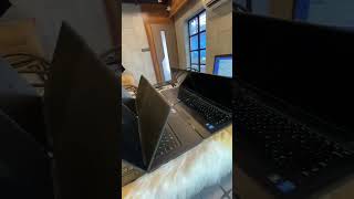 REFURBISHED LAPTOPS laptop cneᴅɪᴛᴢ smartphone hp macbook computer ʜᴏᴡ windows pʀᴇsᴇʀғғ hey [upl. by Neelra]