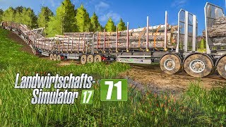 LS17 Forst 71  Krise im XXLForstprojekt mit 9 Anhängern I LANDWIRTSCHAFTSSIMULATOR 17 [upl. by Neelak]