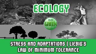 5 Ecology Stress and AdaptationsLiebigs Law of Minimum ToleranceLimits Ecotypes ExAcclimation [upl. by Burck464]