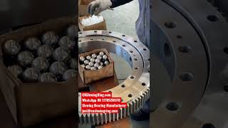 Slewing Bearing Ring Gears [upl. by Itraa]