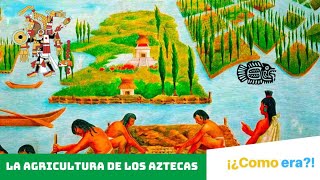 ¿Cómo era la AGRICULTURA para los AZTECAS🇲🇽⌛️🌽 [upl. by Isied]