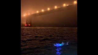 Amy Appelhans Gubser  Golden Gate Bridge to Farallon Islands swim [upl. by Drhacir333]