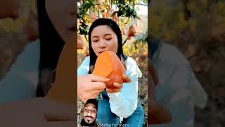 Sweet ripe mango  Harvesting mango fruit from garden shorts​ mango​ youtubeshorts​ satisfying​ [upl. by Ytte]