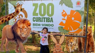 VI UM LEÃO NO ZOOLÓGICO DE CURITIBA 😲 [upl. by Rind]