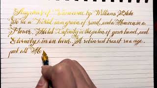 Auguries of Innocence by William Blake  Soothing pen on paper ASMR  Real time [upl. by Dean420]