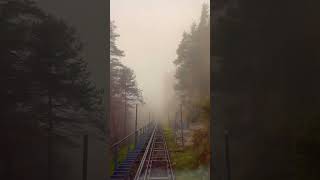 Escape the fog in Switzerland Timelapse BeatenbuchtBeatenberg switzerland swissalps [upl. by Eudo]