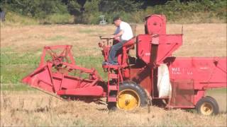 Moissonneuse Batteuse Massey Ferguson type 31 en action video 24 [upl. by Rossi]