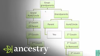 What is a First Cousin Once Removed  Ancestry [upl. by Wyck492]