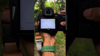 NIKON Z5 FULL PHOTOGRAPHY SETTING [upl. by Korman]