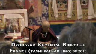 DZONGSAR KHYENTSE RINPOCHE [upl. by Atoiganap]