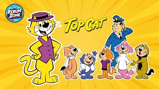 Top CAT [upl. by Doownel]