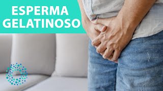 ESPERMA GELATINOSO  ESPERMA GROSSO como GELATINA [upl. by Rebma194]