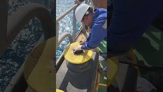 Ships Deck Team overhauling a Fairlead roller seafarers rollers mooring sailors maintenance [upl. by Dudden]