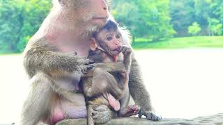 Cute Baby Tia Screaming So Loudly Angry Mommy Beat To Weaning Her Milk [upl. by Spevek821]