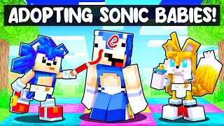 Adopting Sonic BABIES In Minecraft  Sega Fun House  7 [upl. by Calderon]