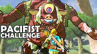 EVENTIDE ISLAND  Pacifist Challenge  Breath of the Wild  Zelda BotW  Basement  S3E55 [upl. by Deloris99]