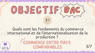 BAC Commerce International  Commerce entre pays comparables [upl. by Fitzhugh715]