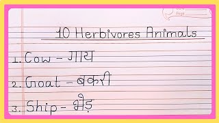 10 Herbivores Animals Name  Herbivores Animals Name  List Of Herbivores Animals  Herbivores [upl. by Cthrine702]