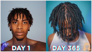 1 Year High Top Dread Growth Timelapse  12 months [upl. by Huoh650]