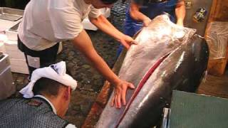 Slicing open a giant tuna at the Tsukiji Fish Market [upl. by Ahsaz]