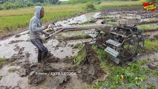 Bongkar Bongkar Traktor Sawah Bedah Tanah Bedengan Cabai [upl. by Niggem]