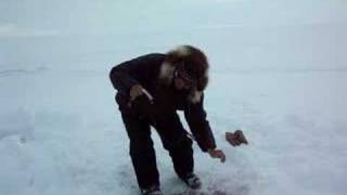 catching fish in nunavut [upl. by Laurance]