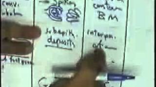 systemic pathology renal system 2 nephrotic DR SAMEH GHAZY [upl. by Cower]