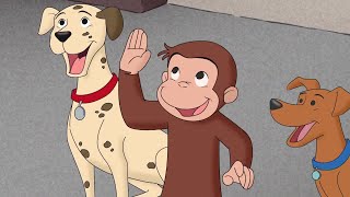 Wheres the Firedog 🐵Curious George 🐵 Kids Cartoon 🐵Kids Movies 🐵Videos for Kids [upl. by Swaine139]