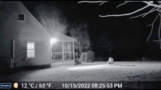 THIS IS THE MOST ALARMING FOOTAGE EVER CAPTURED ON A RING CAM [upl. by Nagaem]