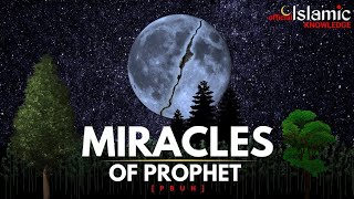 Miracles of Prophet Muhammad ﷺ  Truthfulness amp Prophecy  Islamic Knowledge Official [upl. by Aicenav]