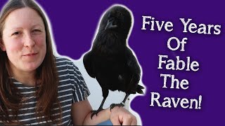 Fable the Raven  5 Year Anniversary [upl. by Amyaj]