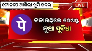 Phonepe ବ୍ୟବହାର କରୁଥିଲେ ଦେଖନ୍ତୁ ନୂଆ ସୁବିଧା  Phonepe New Update 2024  Phonepe Loan  Mutual Fund [upl. by Aloke]