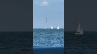 Sailboats [upl. by Jaenicke]