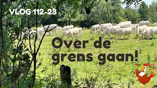 Vlog 11223 Over de grens gaan [upl. by Pasho]