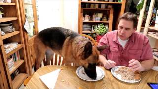 Can Man Eat Faster Than A German Shepherd [upl. by Kirsch]