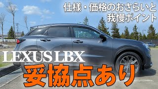 【妥協点は…】納車したレクサスLBXの仕様・価格紹介＆5つの我慢ポイント！｜LEXUS LBX 5 points of compromise No033 [upl. by Yelekalb]