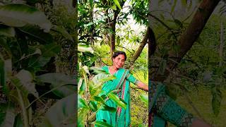 Dil huluk dubuk Nagpur trending reels viral videos nagpuri viral video [upl. by Eahs427]