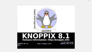 Knoppix 81 Installation in VirtualBox 52 [upl. by Egroeg]