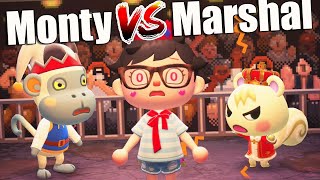 MARSHAL VS MONTY  Hippeux gets angry  Animal Crossing New Horizons Funny Moments 86 [upl. by Marcile]