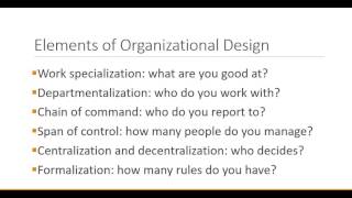 Principles of Management Organizational Design [upl. by Ecnedurp]