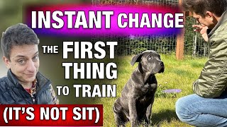 Episode 3 How to Train Your Dog What “YES” Means This is What You’ve Been Missing [upl. by Llejk]