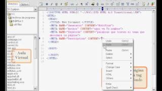 EditPlus  Editor HTML  Lección 0001 [upl. by Gnilrets926]