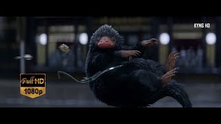 Newt catching Niffler Full HD 1080p [upl. by Adnyleb572]