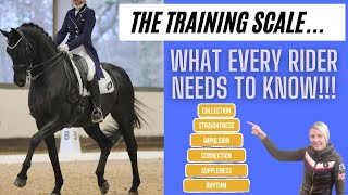 SCALES OF TRAINING  6 WAYS TO SUCCEED IN DRESSAGE  PART 1  DMA TV EP 341 [upl. by Ailecec]