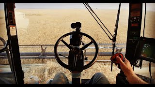 🔴Live First Harvest Livestream 2018  Welker Farms Inc [upl. by Risan]