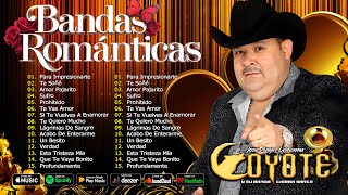 El Coyote Y Su Banda Tierra Santa  Banda romantica  Para Impresionarte [upl. by Clough290]