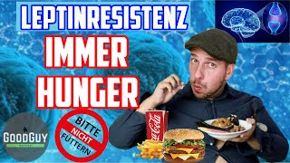 LeptinLeptinresistenzimmer Hunger obwohl du ständig ißtUrsachen Lösungen einfach erklärt [upl. by Mead]