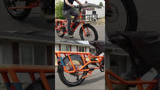 Whats the hype with the Radwagon 4 Full review video on the channel radpowerbikes ebike [upl. by Inimak670]